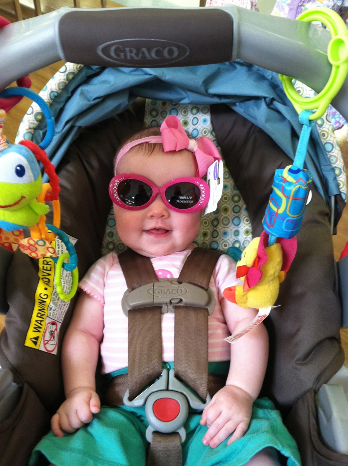 Cool cat in your cool shades