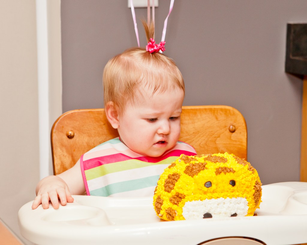 Lexi 1st Birthday - 047