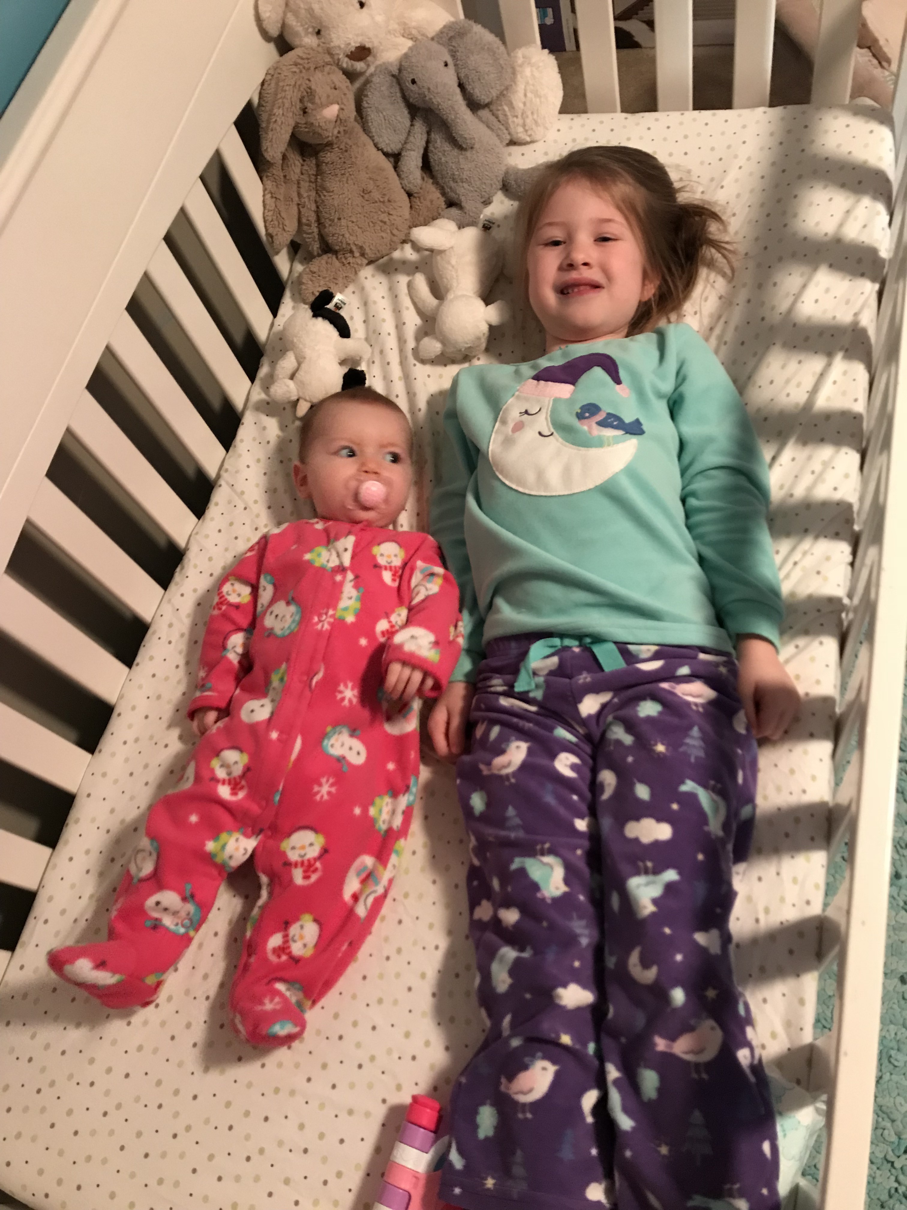 39576626572_89a073b73f_o